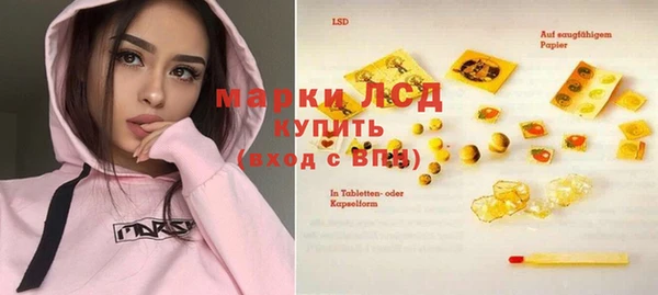 сатива Абинск