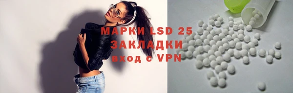 винт Алексин