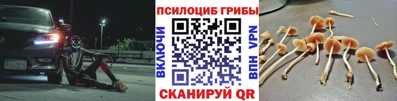 Галлюциногенные грибы GOLDEN TEACHER Среднеколымск